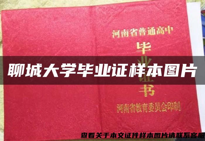 聊城大学毕业证样本图片