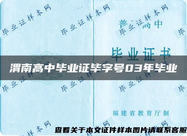 渭南高中毕业证毕字号03年毕业