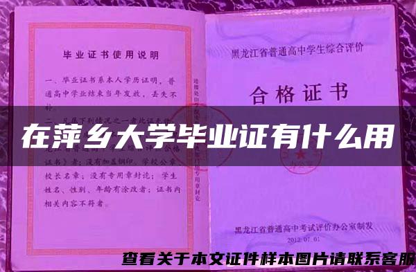 在萍乡大学毕业证有什么用