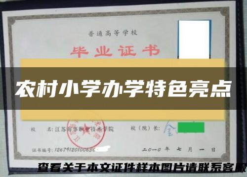 农村小学办学特色亮点