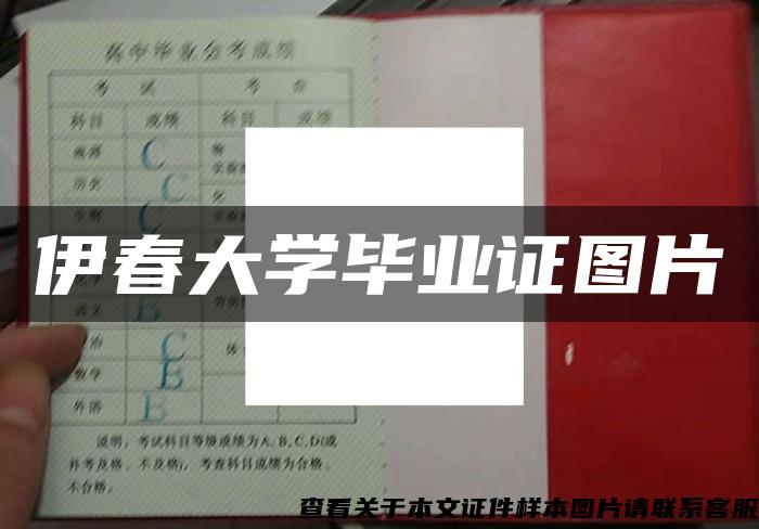 伊春大学毕业证图片