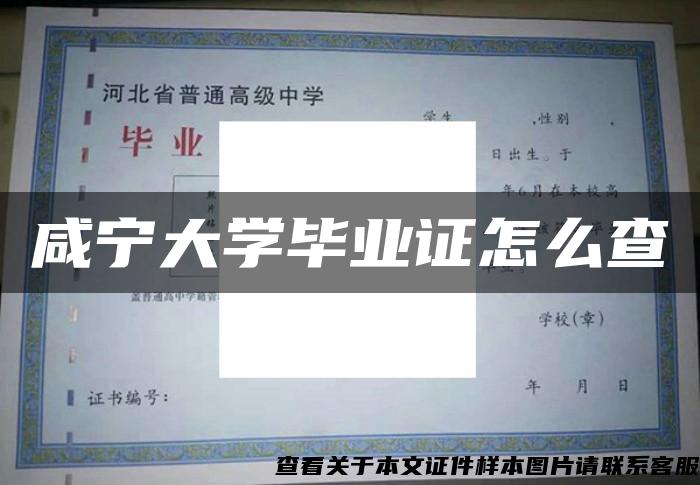 咸宁大学毕业证怎么查