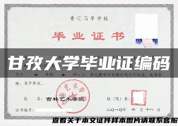 甘孜大学毕业证编码