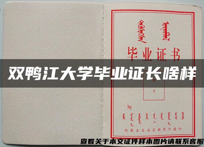 双鸭江大学毕业证长啥样