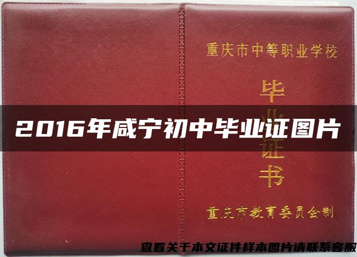 2016年咸宁初中毕业证图片