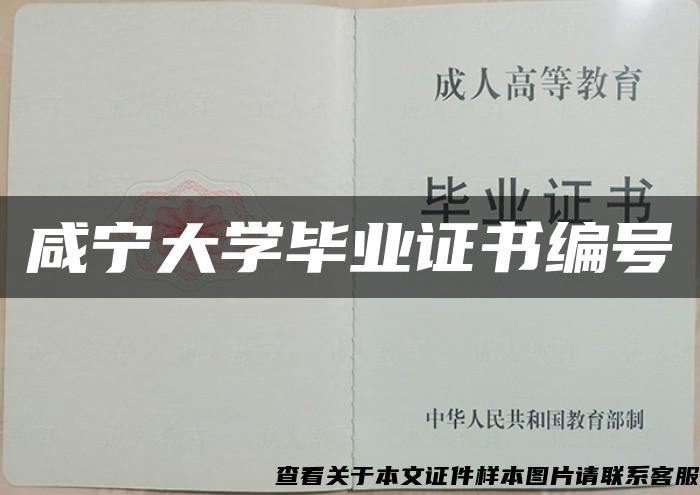 咸宁大学毕业证书编号