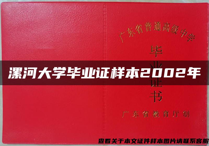 漯河大学毕业证样本2002年