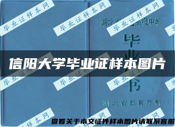 信阳大学毕业证样本图片