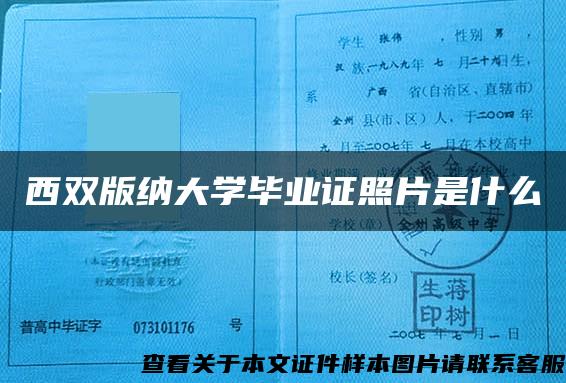 西双版纳大学毕业证照片是什么