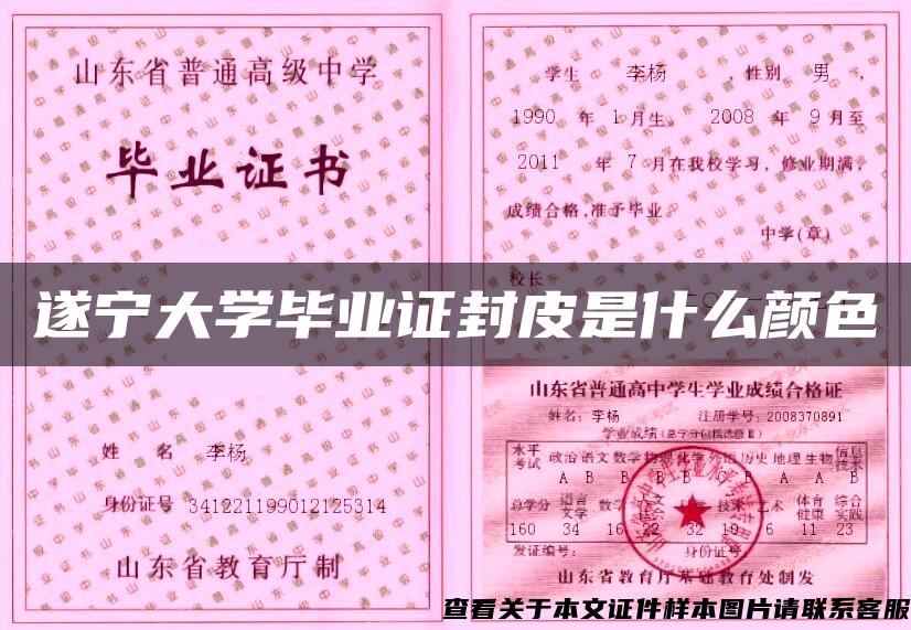 遂宁大学毕业证封皮是什么颜色