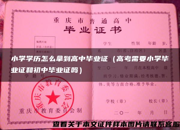 小学学历怎么拿到高中毕业证（高考需要小学毕业证和初中毕业证吗）