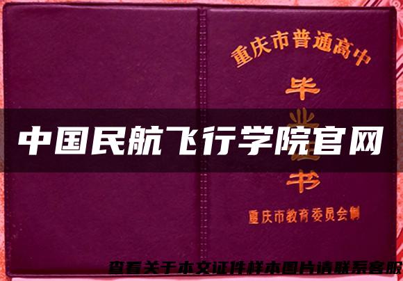 中国民航飞行学院官网