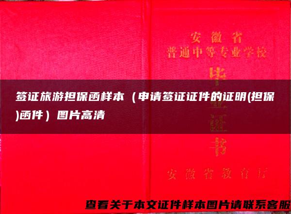 签证旅游担保函样本（申请签证证件的证明(担保)函件）图片高清