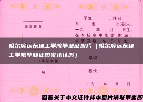 哈尔滨远东理工学院毕业证图片（哈尔滨远东理工学院毕业证国家承认吗）