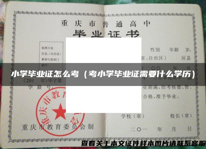 小学毕业证怎么考（考小学毕业证需要什么学历）