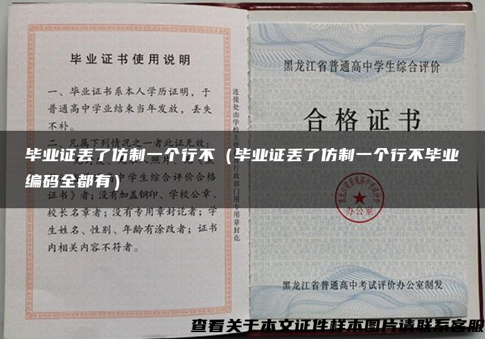 毕业证丢了仿制一个行不（毕业证丢了仿制一个行不毕业编码全都有）