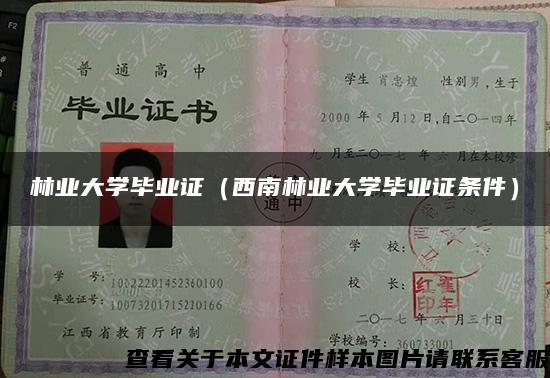 林业大学毕业证（西南林业大学毕业证条件）