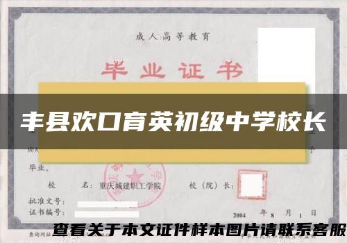 丰县欢口育英初级中学校长