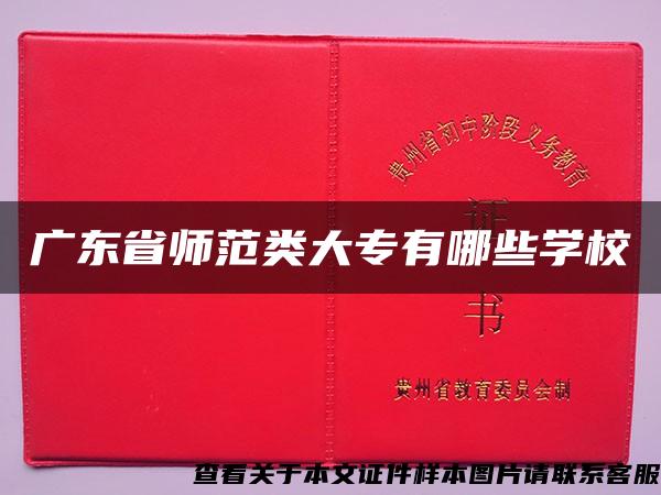 广东省师范类大专有哪些学校