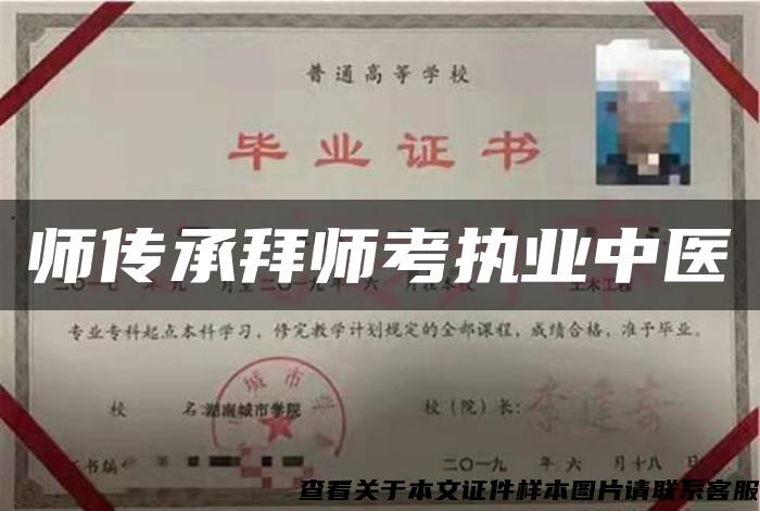 师传承拜师考执业中医