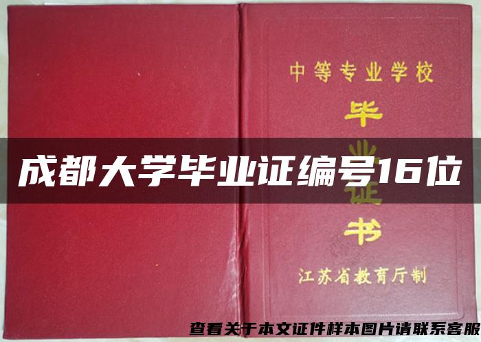 成都大学毕业证编号16位