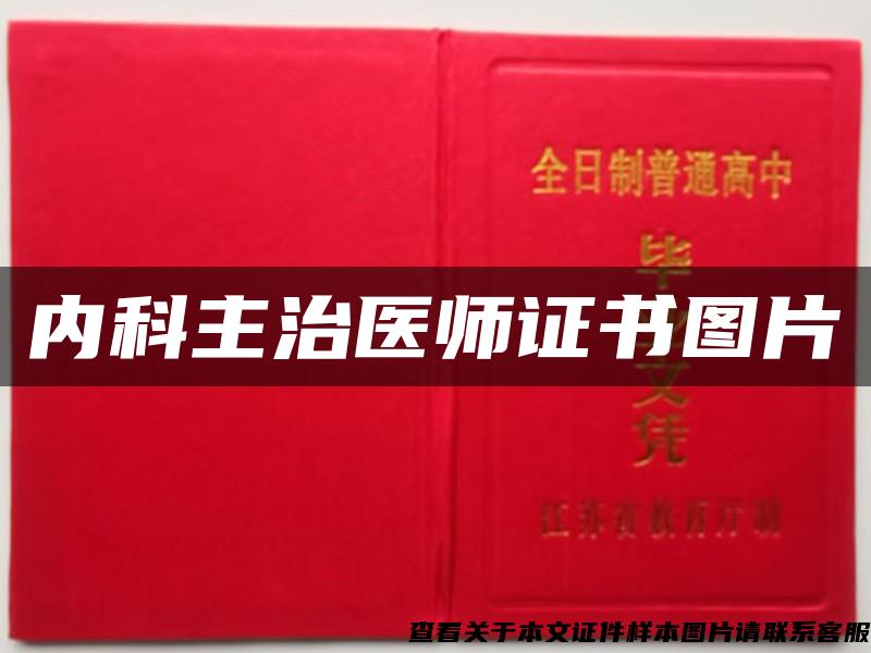 内科主治医师证书图片