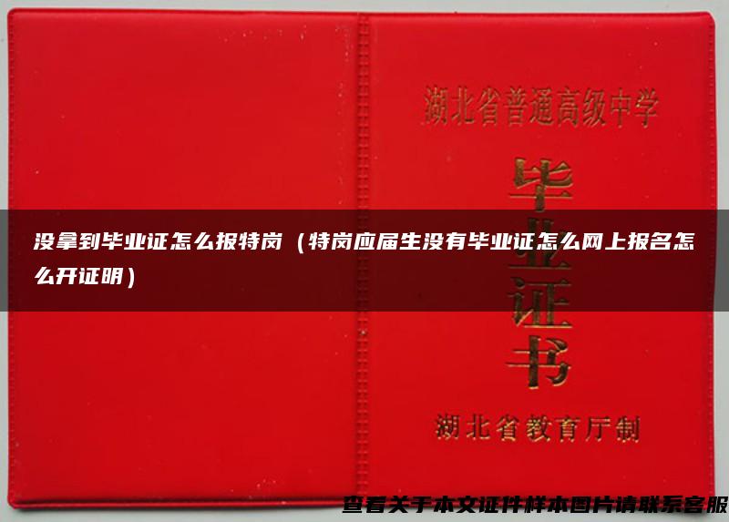 没拿到毕业证怎么报特岗（特岗应届生没有毕业证怎么网上报名怎么开证明）