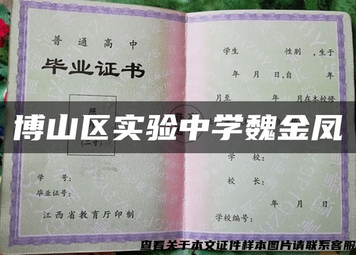 博山区实验中学魏金凤