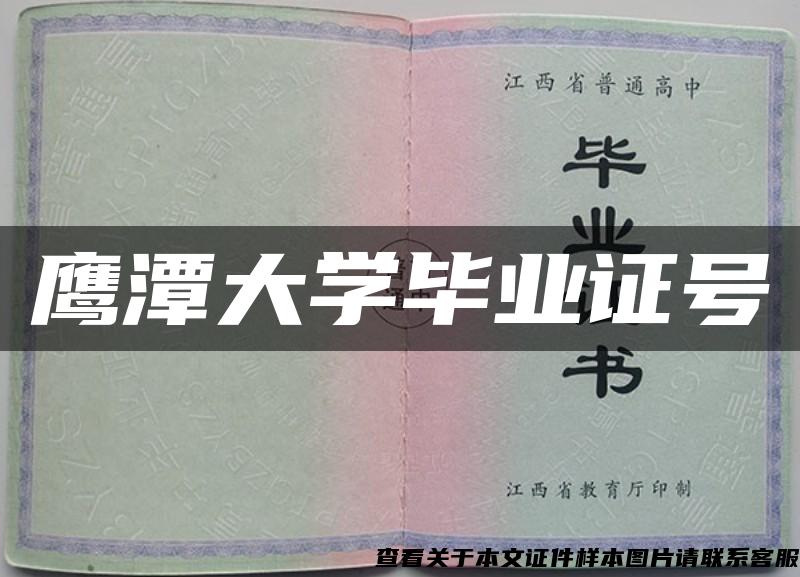 鹰潭大学毕业证号