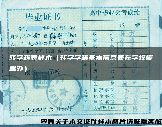 转学籍表样本（转学学籍基本信息表在学校哪里办）