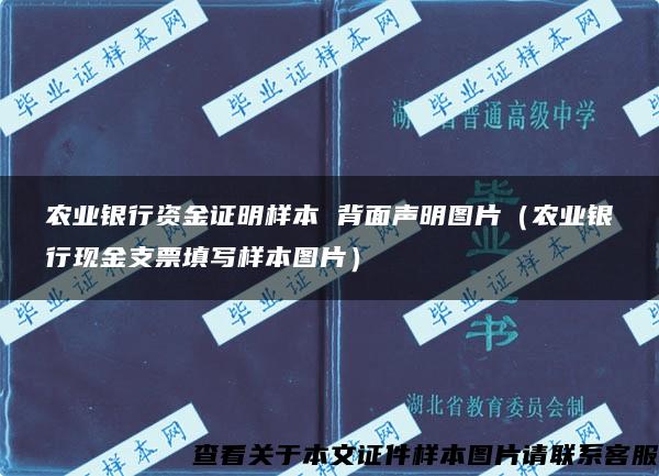 农业银行资金证明样本 背面声明图片（农业银行现金支票填写样本图片）