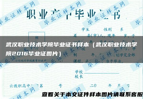 武汉职业技术学院毕业证书样本（武汉职业技术学院2016毕业证图片）