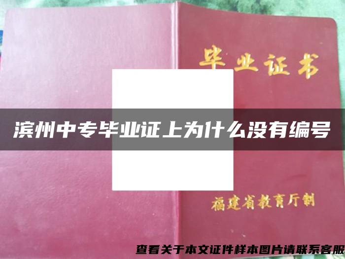 滨州中专毕业证上为什么没有编号