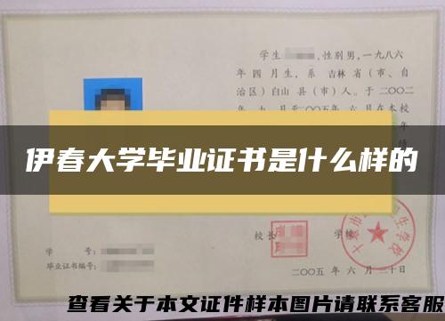 伊春大学毕业证书是什么样的