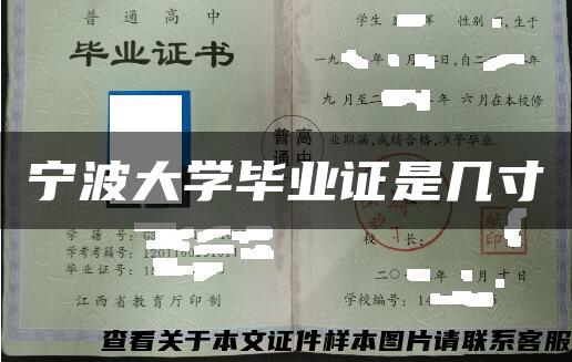 宁波大学毕业证是几寸