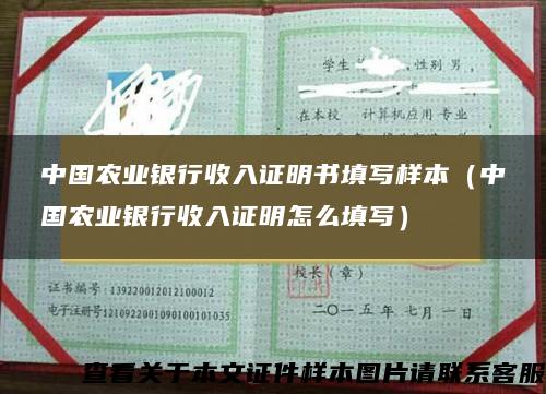 中国农业银行收入证明书填写样本（中国农业银行收入证明怎么填写）