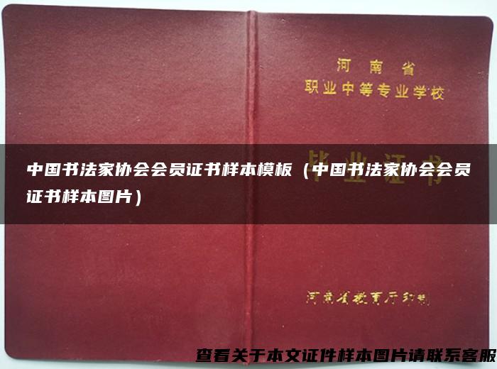 中国书法家协会会员证书样本模板（中国书法家协会会员证书样本图片）