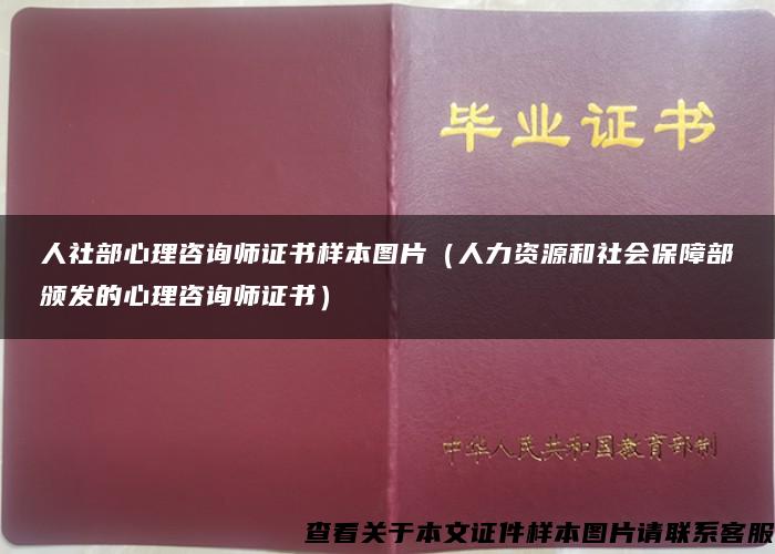 人社部心理咨询师证书样本图片（人力资源和社会保障部颁发的心理咨询师证书）