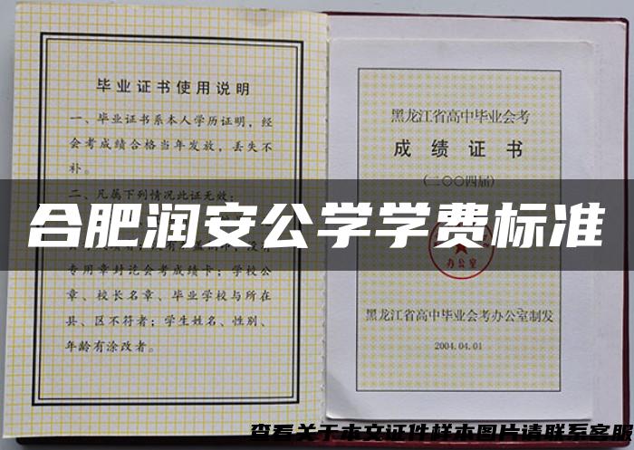 合肥润安公学学费标准