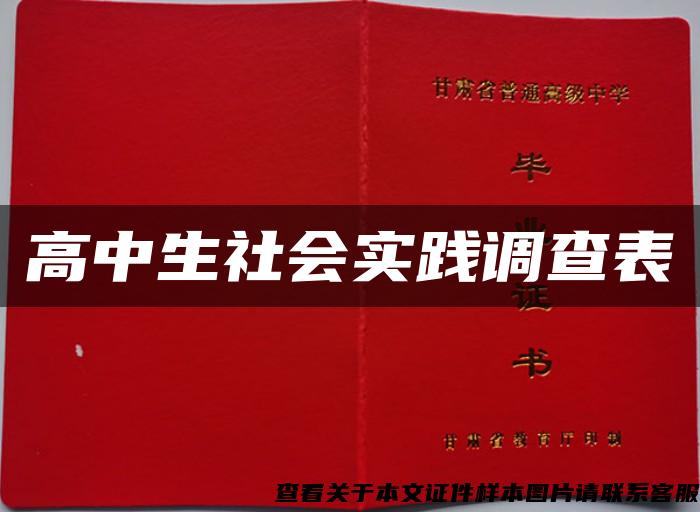 高中生社会实践调查表