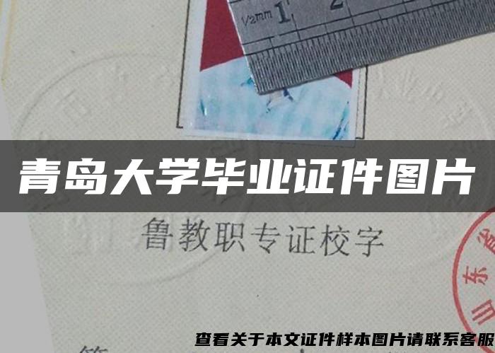 青岛大学毕业证件图片