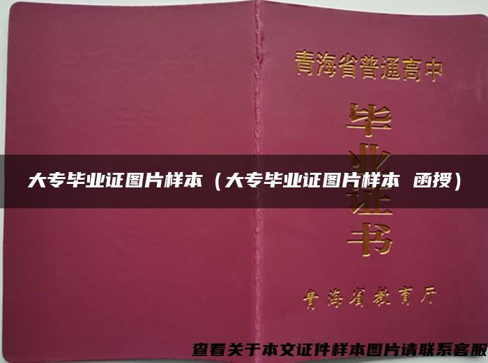 大专毕业证图片样本（大专毕业证图片样本 函授）