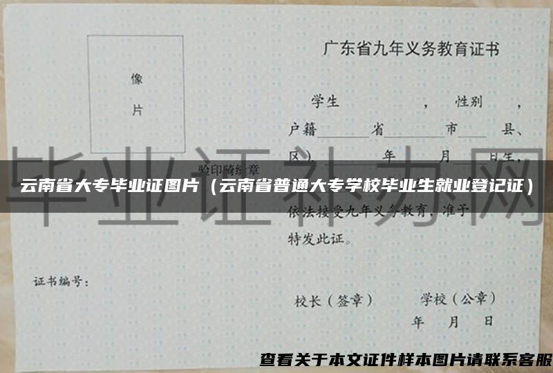 云南省大专毕业证图片（云南省普通大专学校毕业生就业登记证）