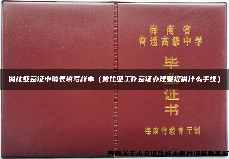 赞比亚签证申请表填写样本（赞比亚工作签证办理要提供什么手续）