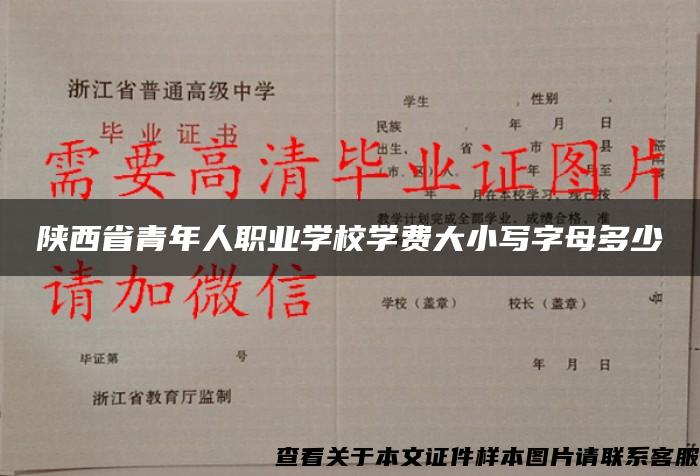 陕西省青年人职业学校学费大小写字母多少