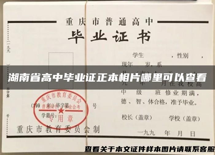 湖南省高中毕业证正本相片哪里可以查看