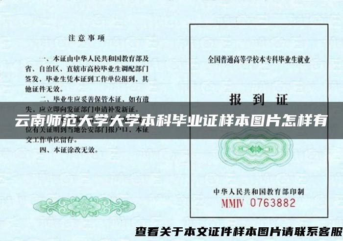 云南师范大学大学本科毕业证样本图片怎样有