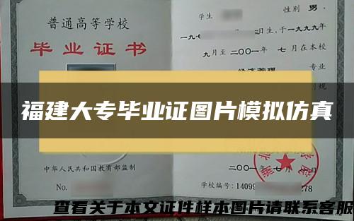 福建大专毕业证图片模拟仿真