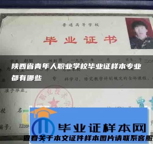 陕西省青年人职业学校毕业证样本专业都有哪些