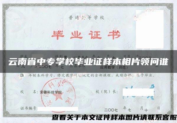 云南省中专学校毕业证样本相片领问谁